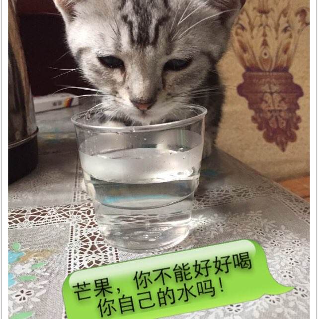 高中毕业证未来有用吗